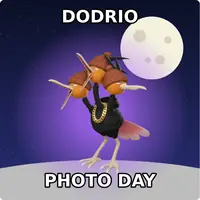 Dodrio meme example